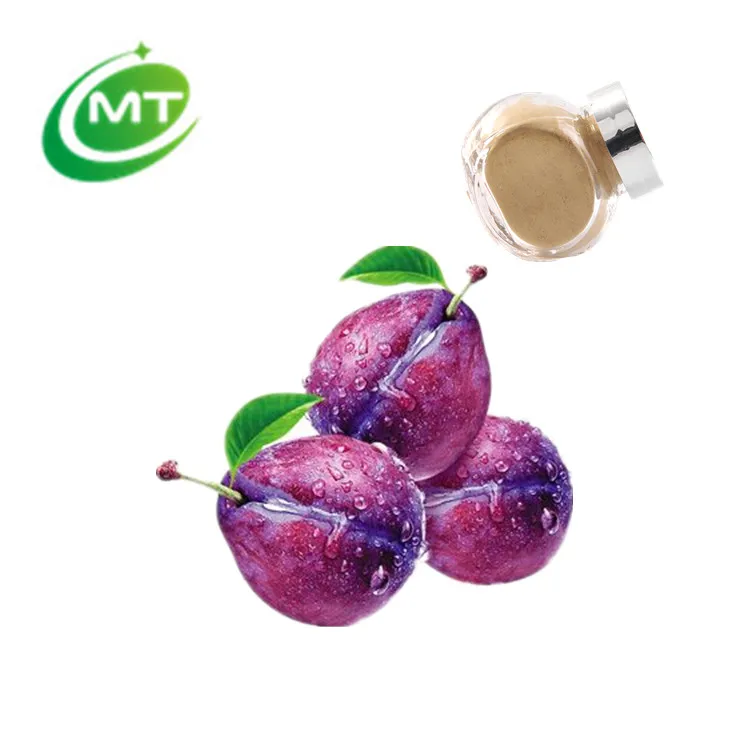 Pure Natural Plum Fruit Extract Kakadu Plum Extract Powder Buy Kakadu