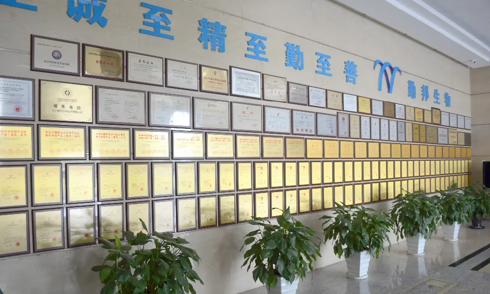 
ELISA Test Kit for Furazolidone metabolite AOZ (Tissues/Honey) 