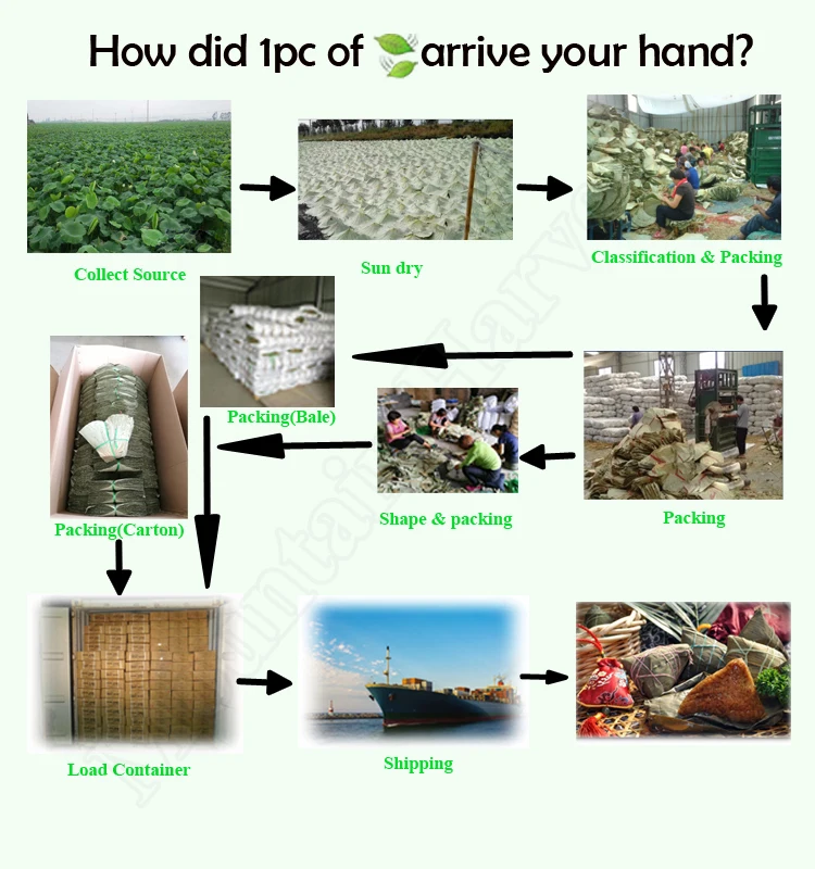 Dried lotus leaves process.jpg