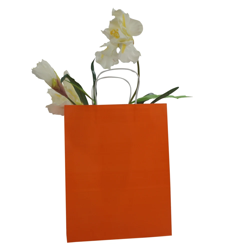 Jialan paper bag manufacturer for packing birthday gifts-8