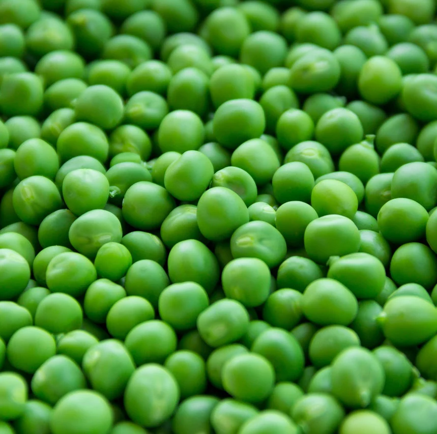 
Hot Sell Bulk IQF Frozen Vegetable Green Peas 