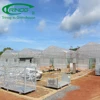 Tomato hydroponic greenhouse for agriculture farm