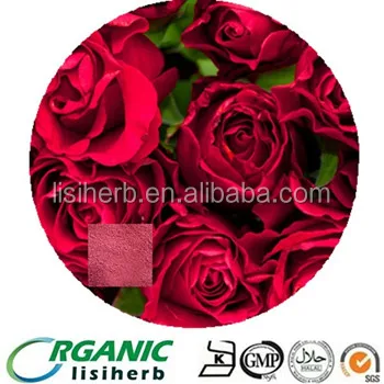 natural rose powder / rosa rugosa extract powder