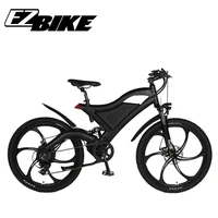 

Electric mountain bike with mountain bike mag wheel