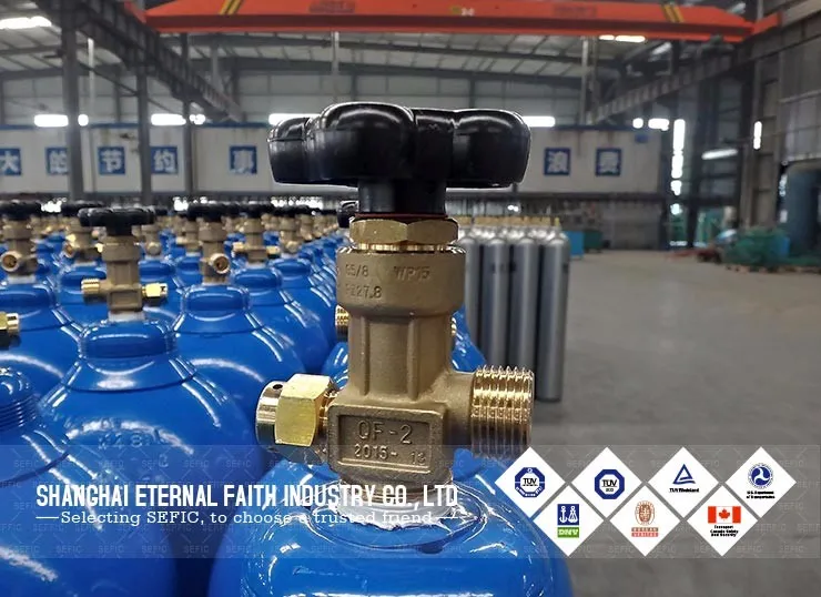 Tped Certified High Pressure G Size 50l Oxygen/nitrogen/argon/co2 Gas Cylinder Buy G Size