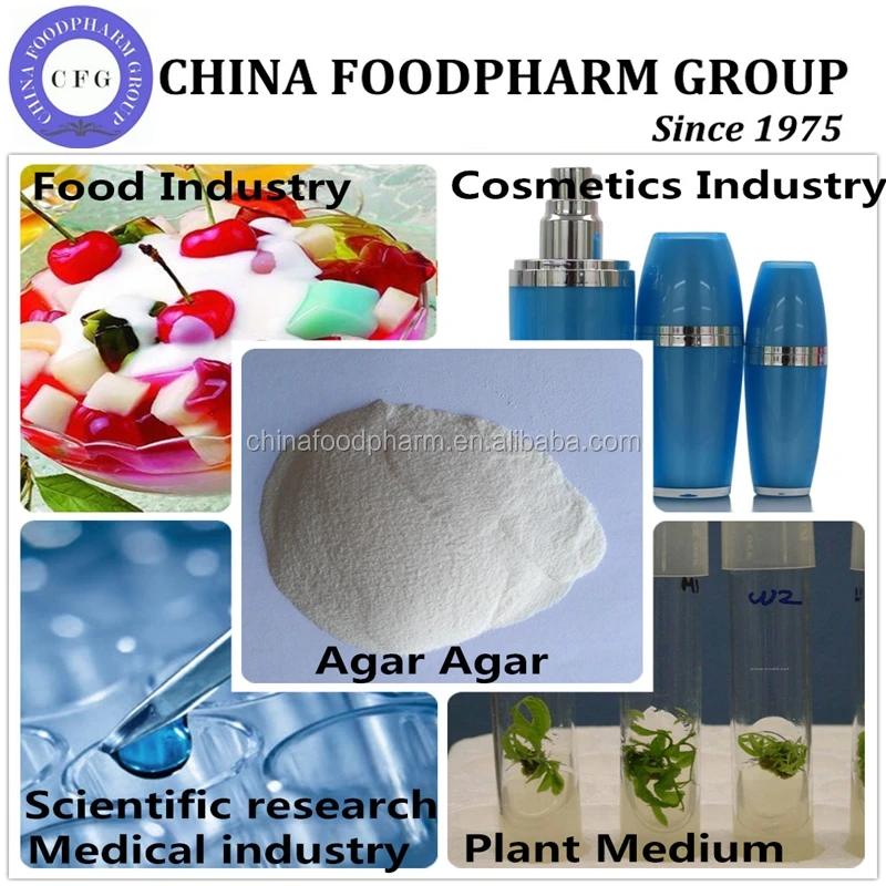 agar agar (9)