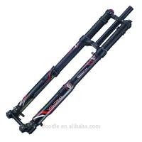 

DNM USD-8S bike/electric bike double crown inverted front fork for dirt bike/doodlebike