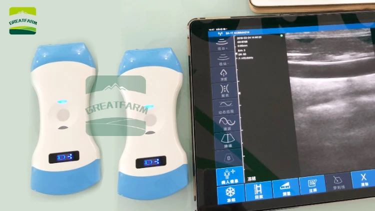 Double probe Wireless Veterinary Ultrasound Scanner Portable Pregnancy Test pig dog pet Handheld Ultrasound Machine Pocket dog