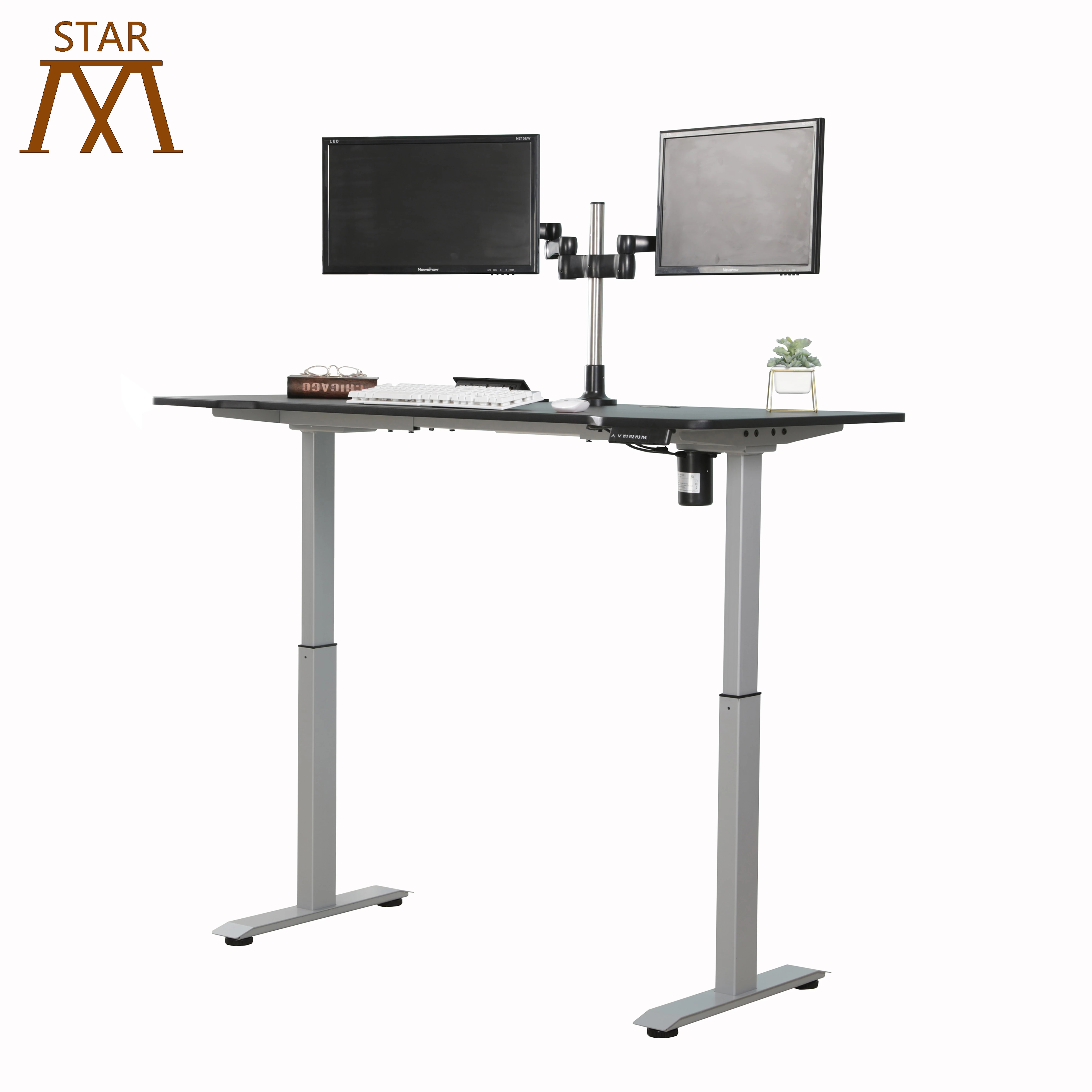 

Ergonomic Two Motors Bureau Modern Electric Height Adjustable Sit Standing Desk, Silver/black/white