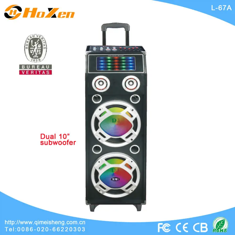 dual 10 inch portable stage speaker with light usb/sd/fm - ANKUX.COM