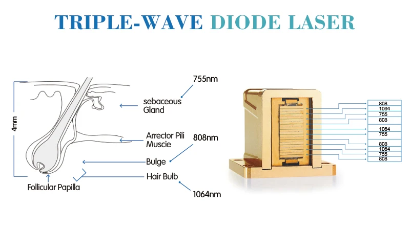 3 wave 755nm 808nm 1064nm 800w power lightsheer soprano permanent diode laser hair removal machine