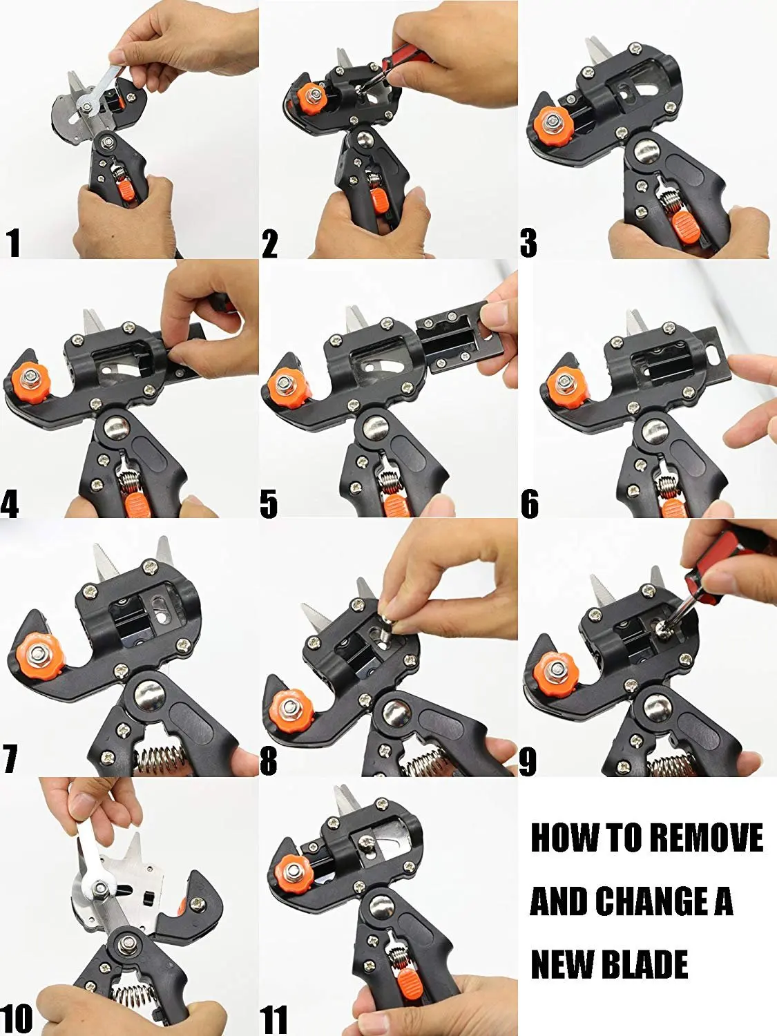 grafting machine (11).jpg