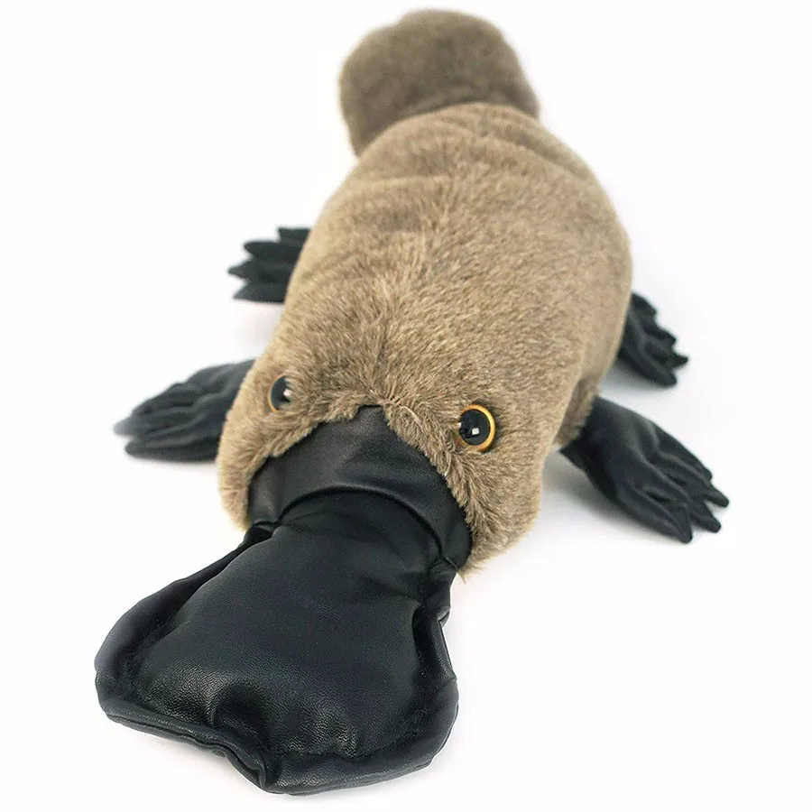 duck billed platypus stuffed animal
