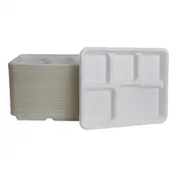 

Disposable Biodegradable Plates with 5 Compartments Sugarcane Bagasse Dishes