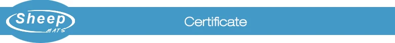 certificate.jpg