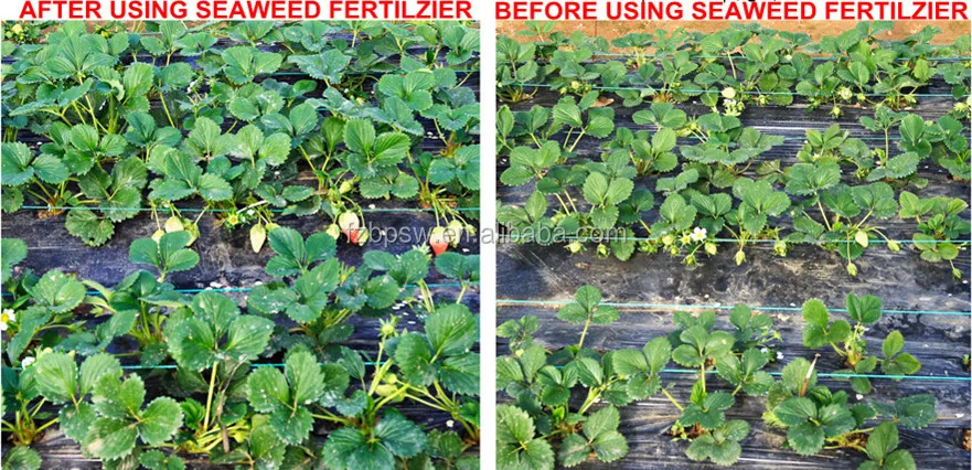 bbaedebd-2a9c-401f-99a0-89a30a307965_