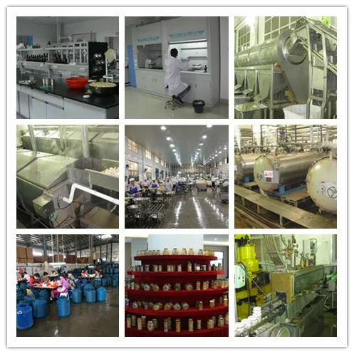production line.jpg