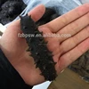 High-end fine exquisite packing,high quality sea cucumber,dried sea cucumber buyer