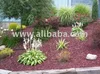 Recycled Rubber Lanscaping Mulch