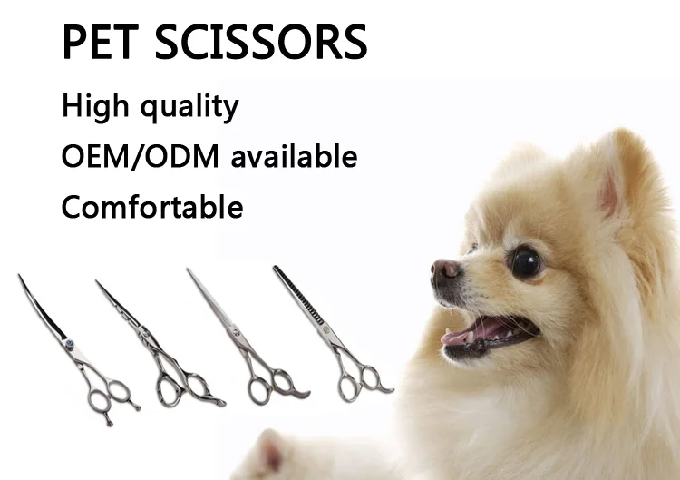 pet scissors1