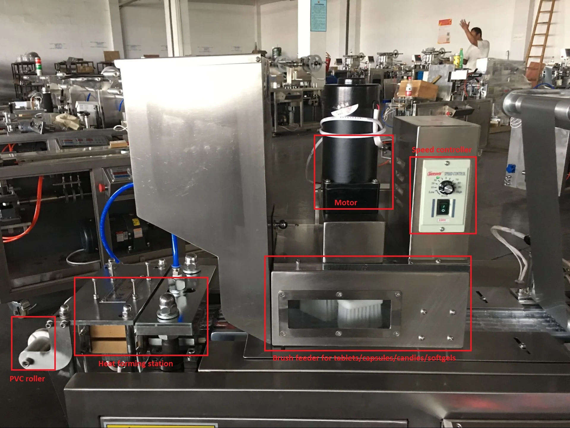 
DPP-80 Factory Price Pharmaceutical Tablet Capsule Pill Aluminum Plastic Hot Forming Small Automatic Blister Packing Machine 