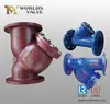 Sanitary stainless steel y-type strainer for water