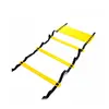 Plastic Sport Speed Agility Ladder With Drills