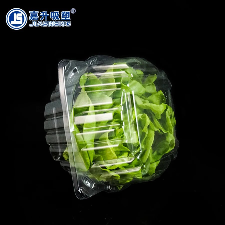 Clear Plastic Lettuce Clamshell Container Box Buy Disposable Plastic