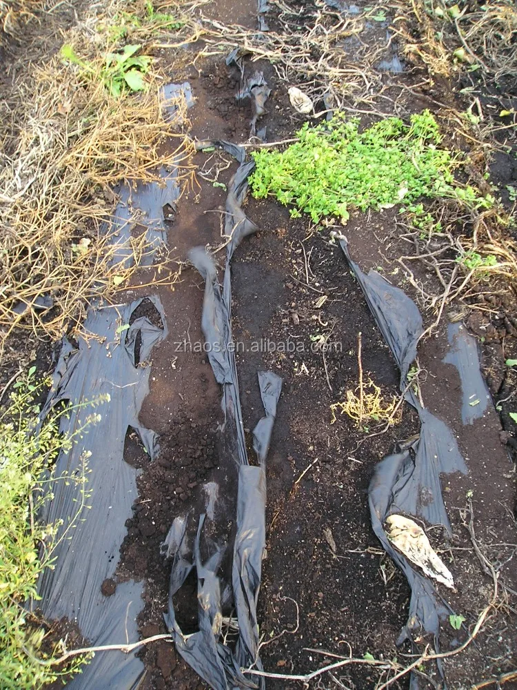 
Manufacture agriculture or gardening use PBAT Biodegradable Mulch Film 