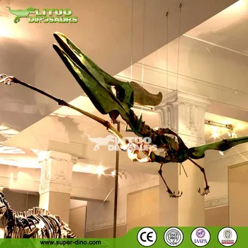 Hanging dinosaurs from ceiling