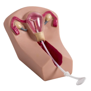 f5n.jpg