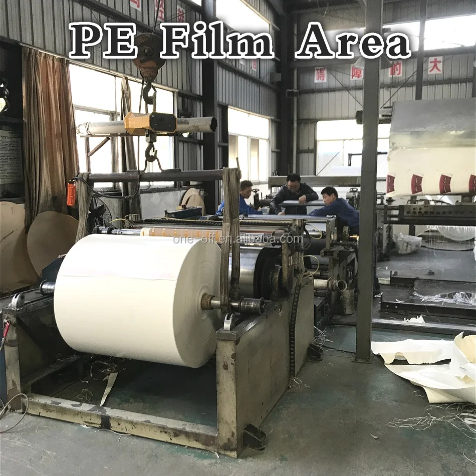 PE Film Area
