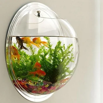 wall mounted fish bowl