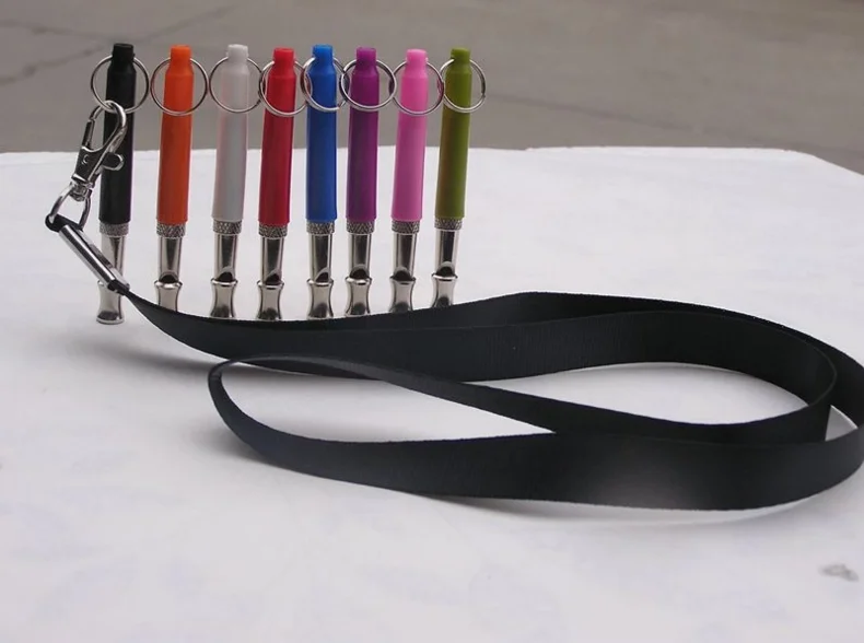 lanyard.png