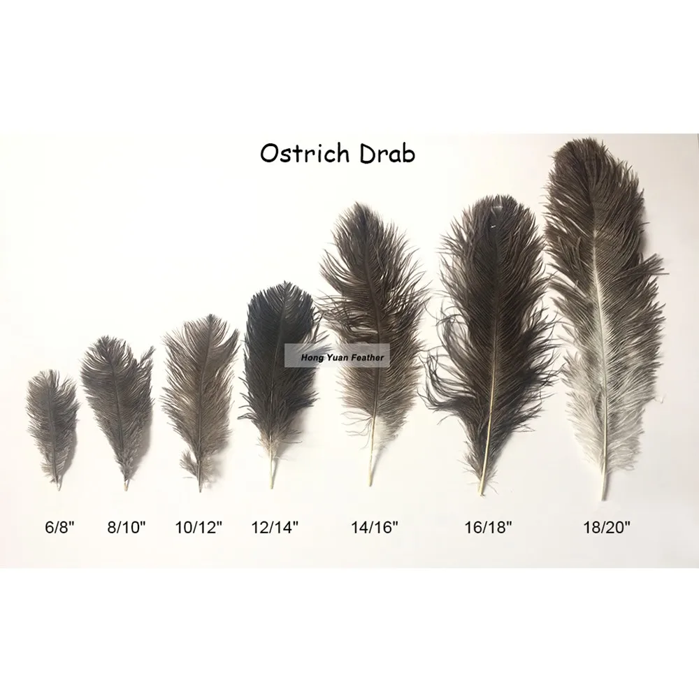 Feather Factory Handcraft High Quality Different Sizes 16inch Ostrich Feathers Centerpieces For