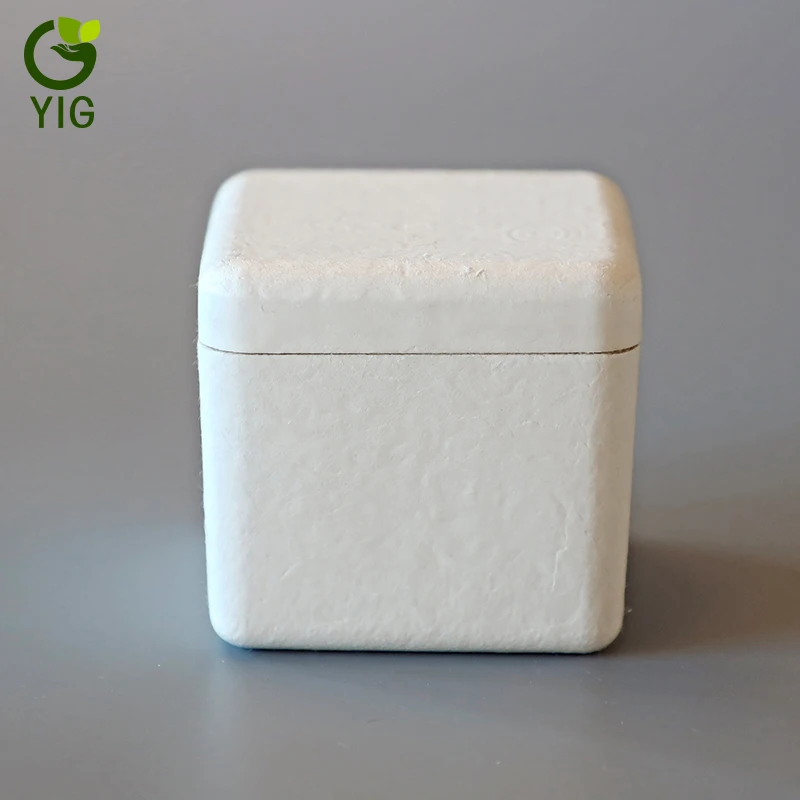 

Wet Press High end Disposable Sugarcane Ice Cream Paper Pulp Pot, White