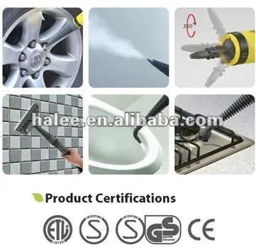 portable steam cleaner function.jpg