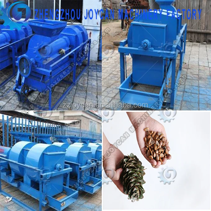 Lebanese Pine Nuts Shelling Machine Acorn Cracker Machine Pine Cone