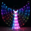 Cheap LED Light up LED Wings, Team dance LED Isis Butterfly, remote control LED dance Wing
