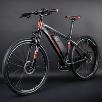

Customized mountain bike 500W-1000W e bike motor electric bicycle