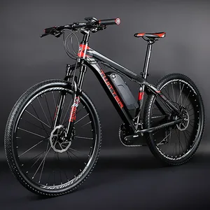 custom electric bike