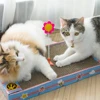 Wholesale Factory Manufacturer Corrugated Scratch Scratcher Board Pad Cat Cardboard