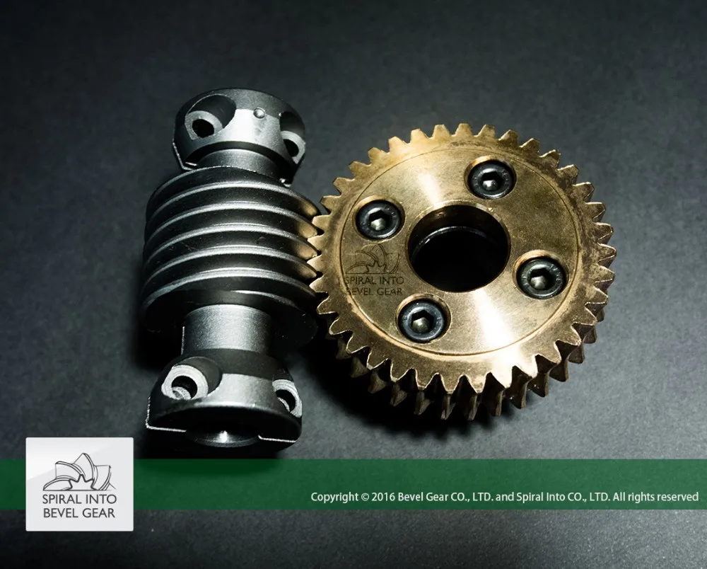 
High Quality Brass Worm Gear set for Speed Reducer 