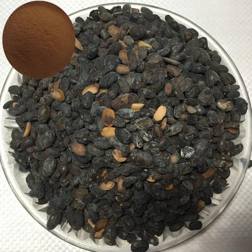 fermented soybean extarct.jpg