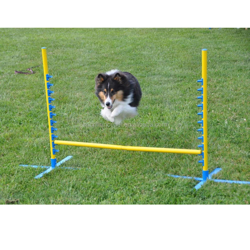 dog jumping equipment