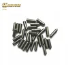 brazed on Bush Hammer for Concrete Litchi Surface Grinding Carbide pins tips