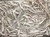 Frozen fish feed BQF sand lance