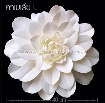 53+ Gambar Bunga Camelia Kekinian 53+ Gambar Bunga Camelia Kekinian