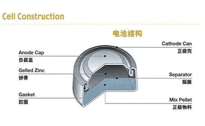 cell structure