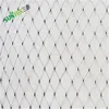 Guarantee 5 years invisible bird netting/Polypropylene anti bird light net